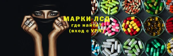 apvp Алзамай