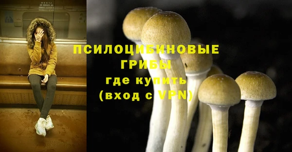 apvp Алзамай