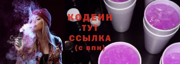 мет Новозыбков